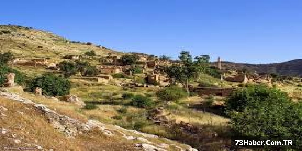 Cizre'de Tarihi Buluntu!