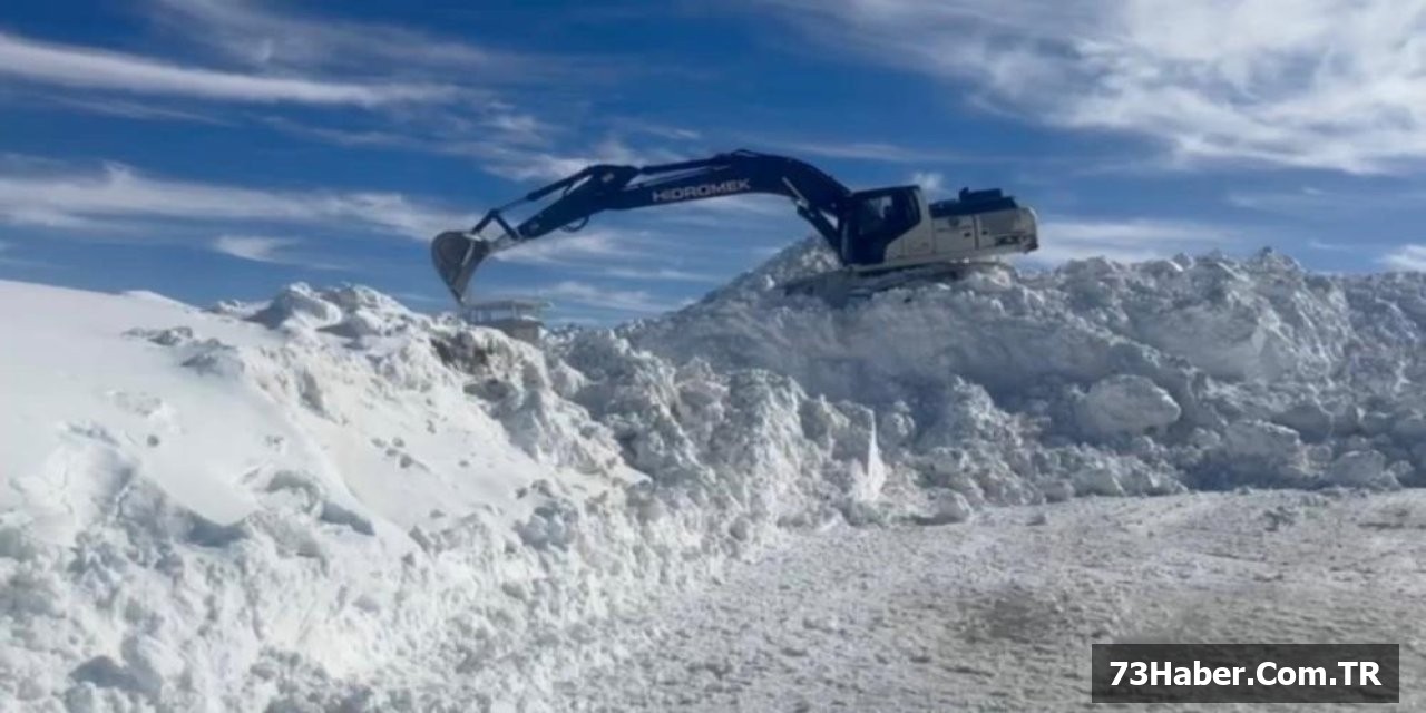 Şırnak Kar Savaşı