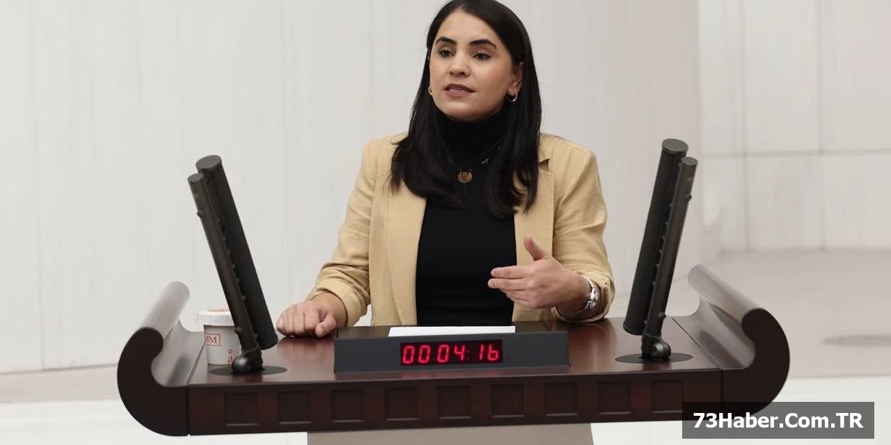 Anadil Eğitimine Acele Araştırma Talebi