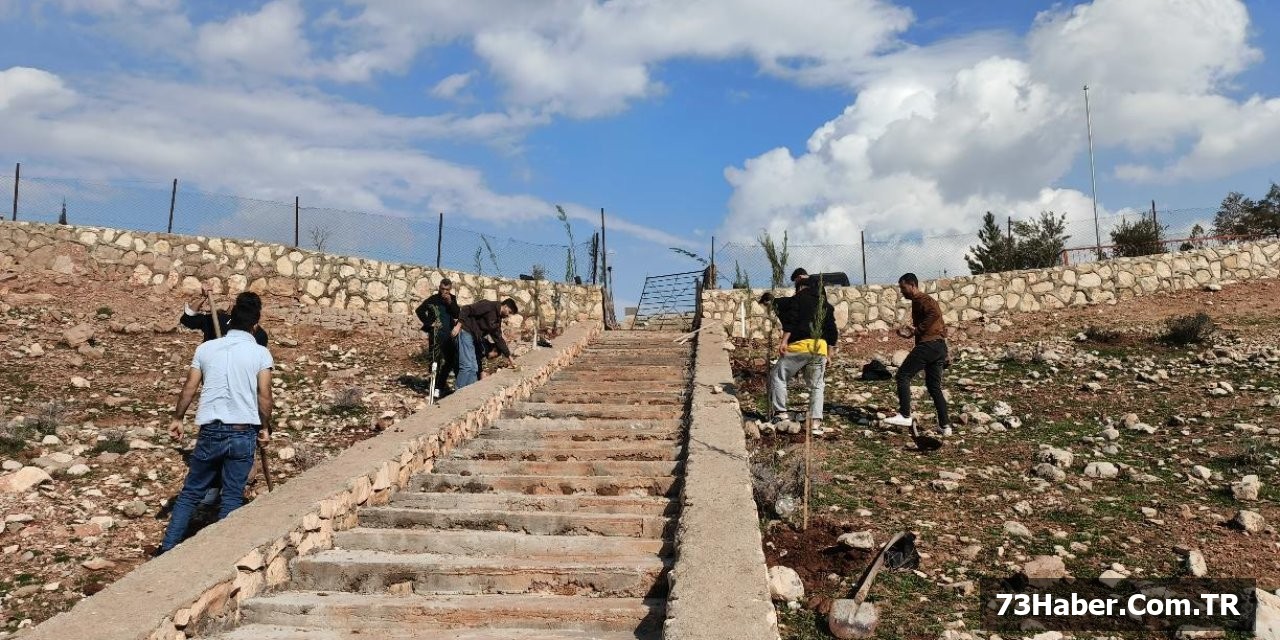 Şırnak'ta Çevre Katliamı!