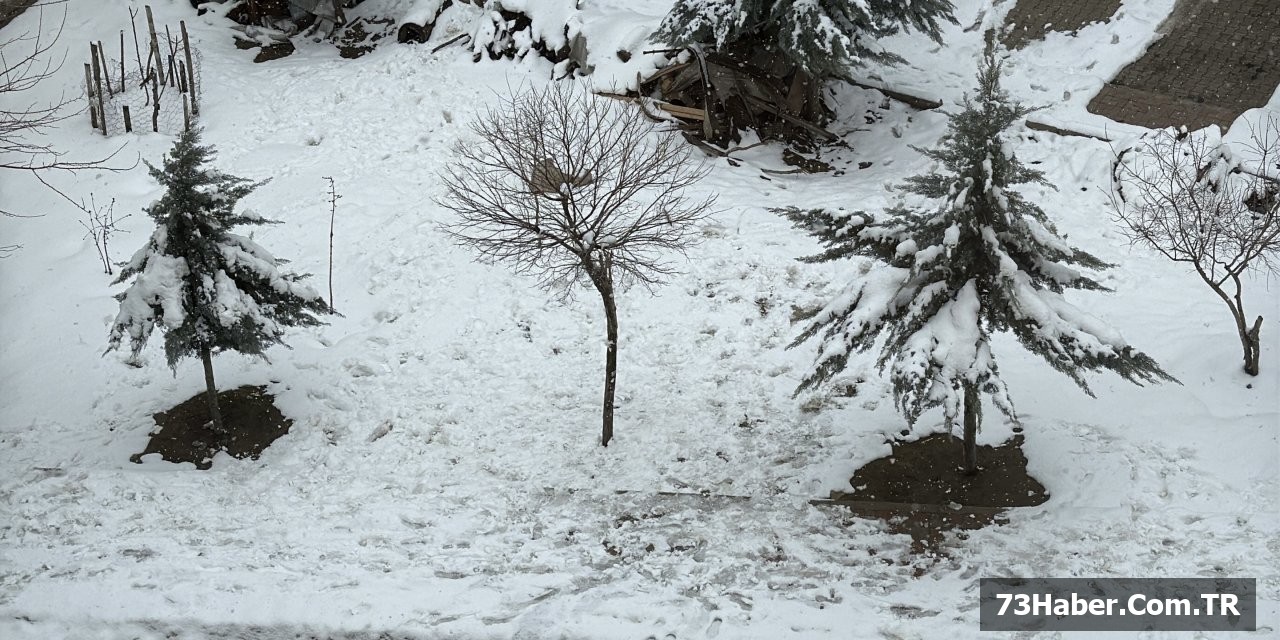 Şırnak Karın Beyazına Büründü