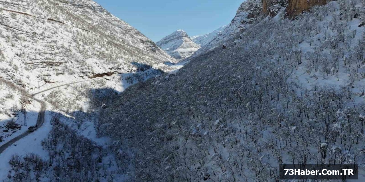 Şırnak Karlı mı?