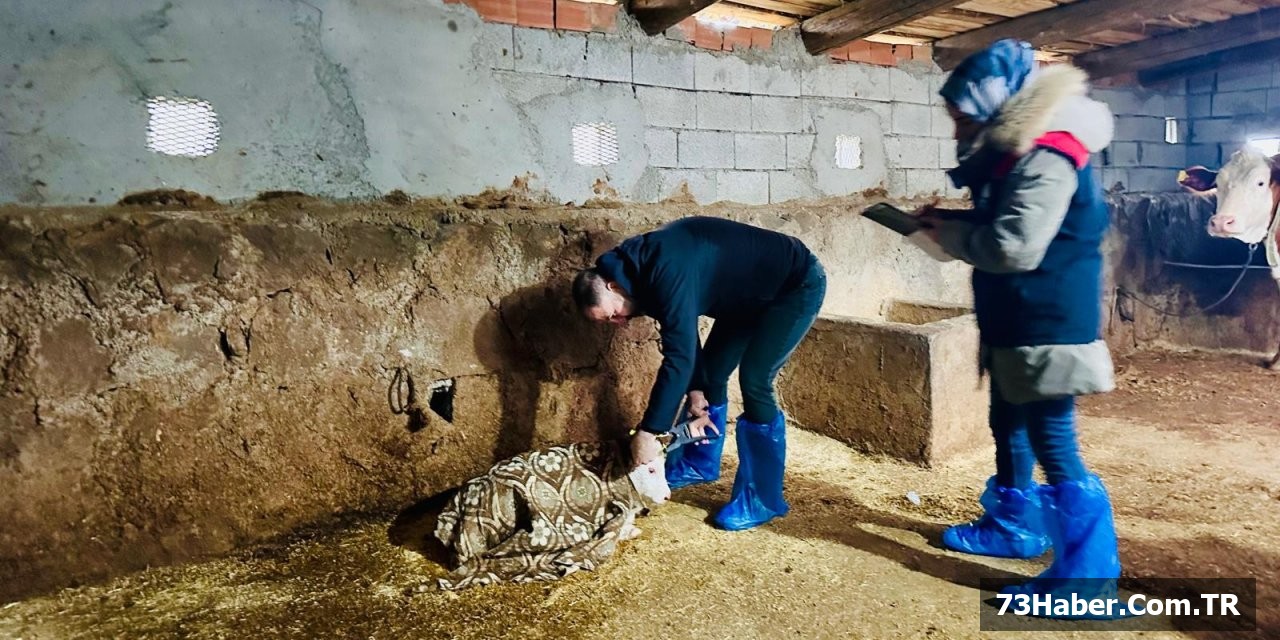 Şırnak'ta Köy Köy Aşılama