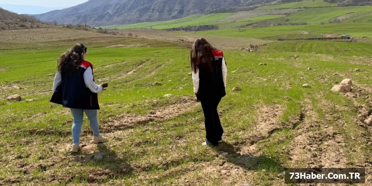Uludere Tarım Arazileri İnceleniyor!