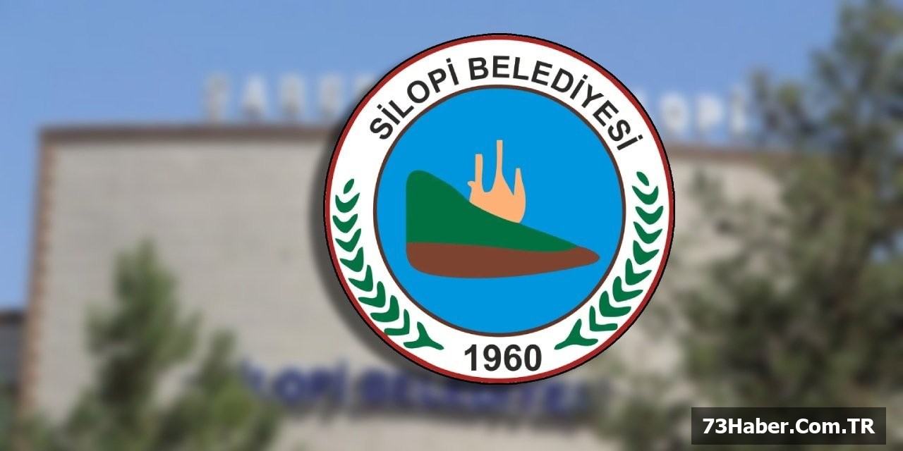 Silopi'de O Cadde Trafikte!
