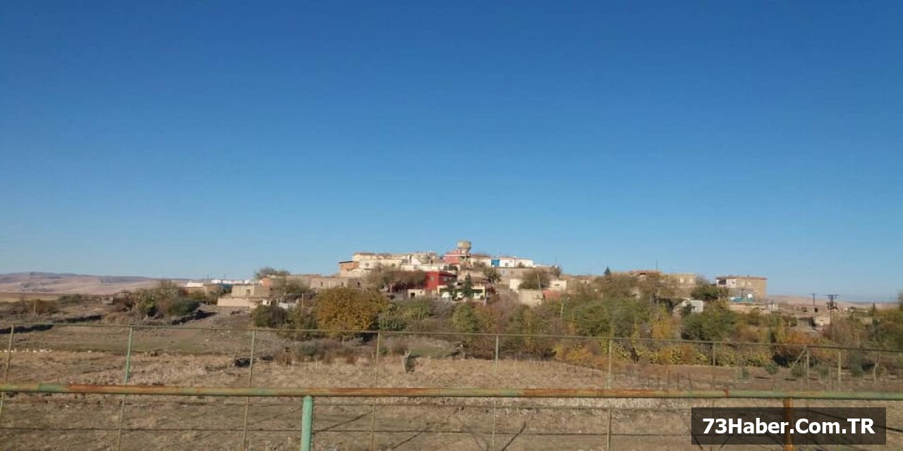 Şırnak'ta Tarihi Buluntular