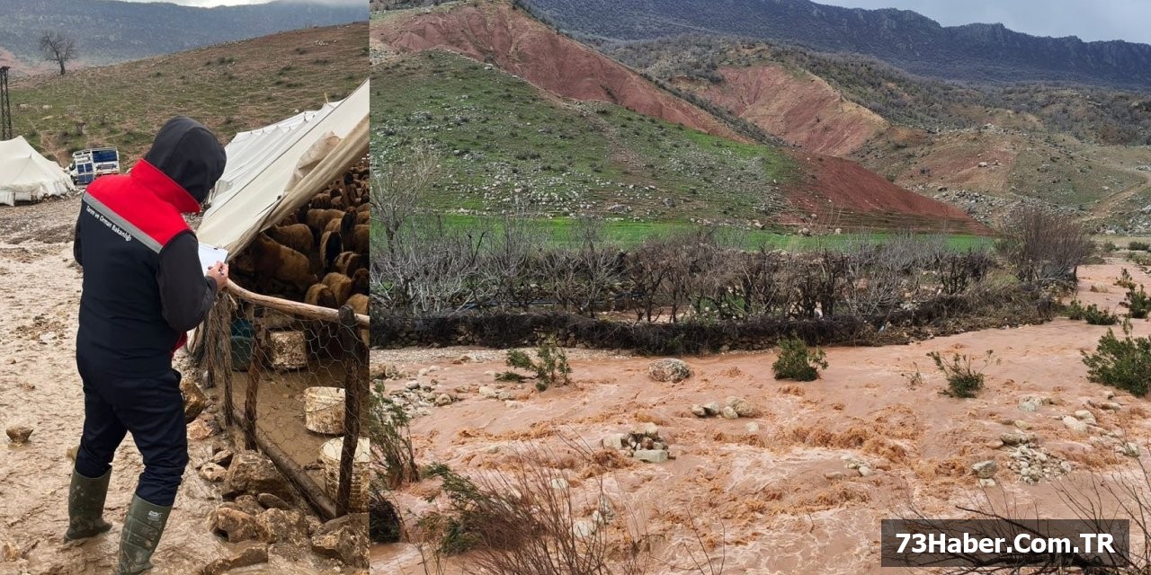 Kasrik'te Selin İzleri Siliniyor