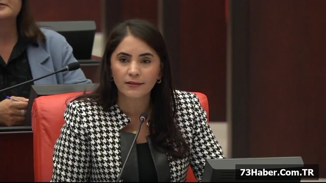 Şırnak TIR Krizi: Şoförler İsyan Ediyor