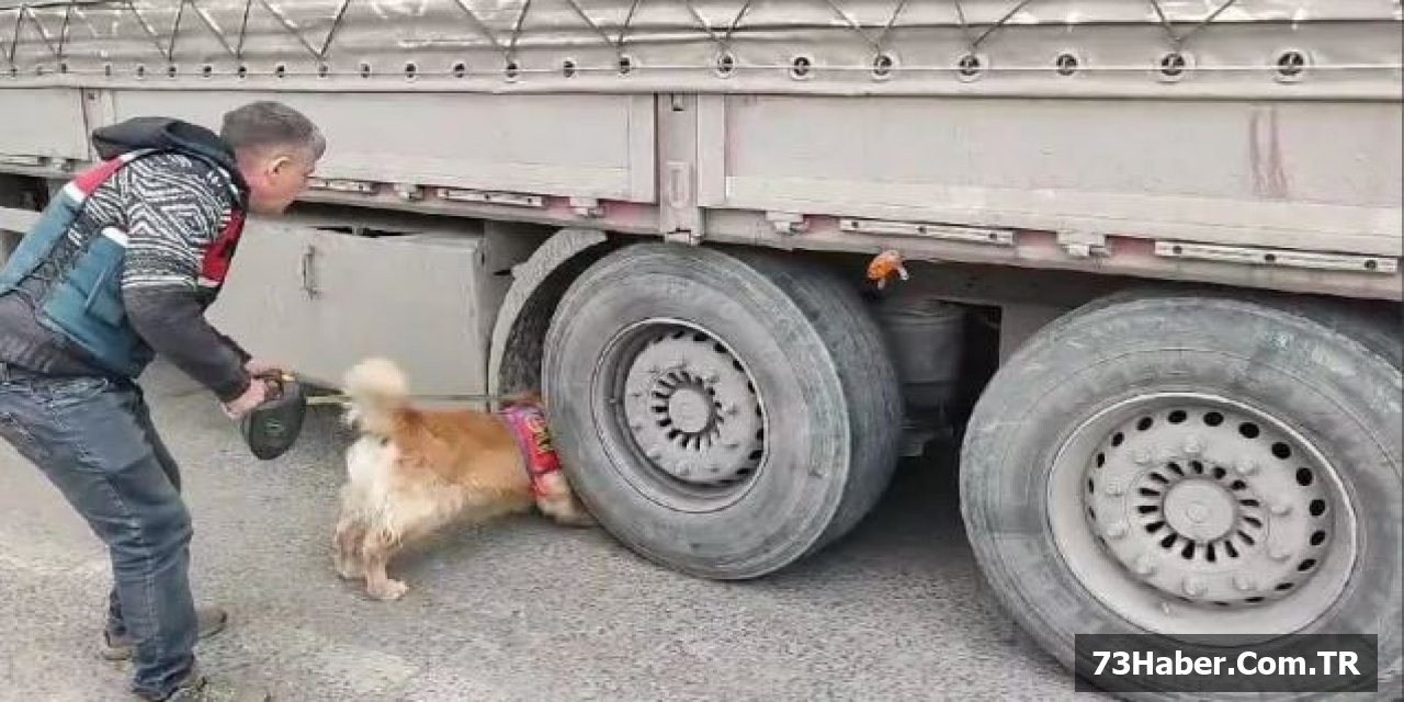 Şırnak'ta Büyük Operasyon: 1 Tutuklama