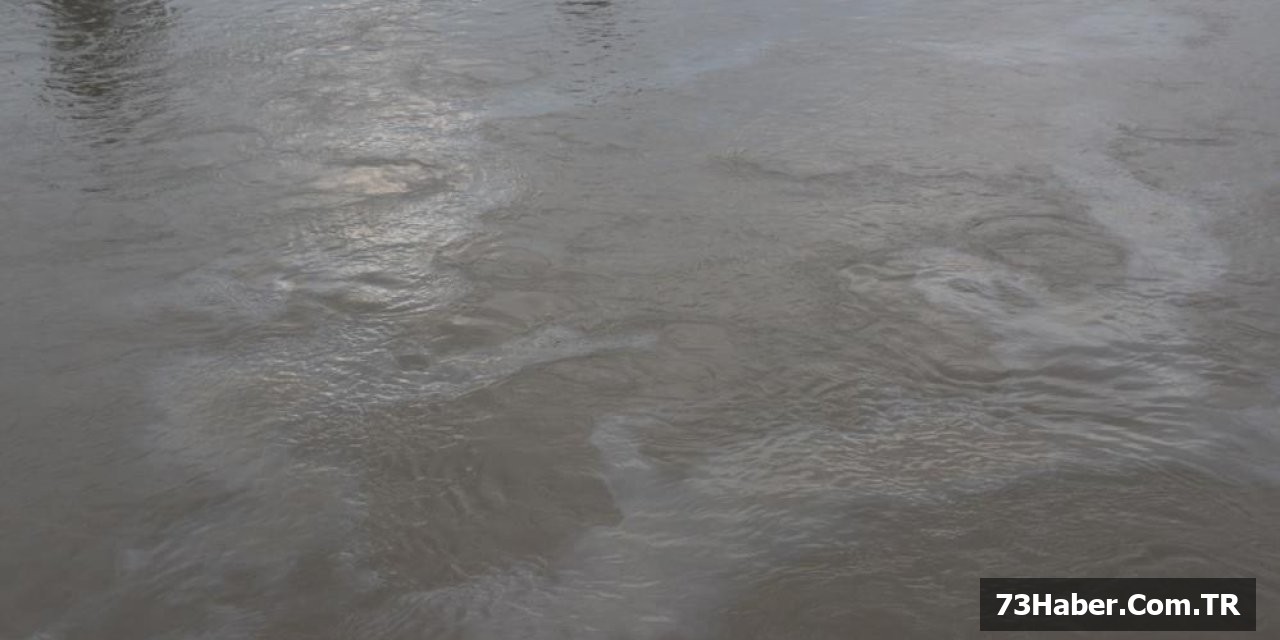 Cizre'de Petrol Felaketi