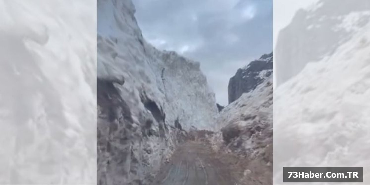 Şırnak'ta Çığ Savaşı Kazanıldı