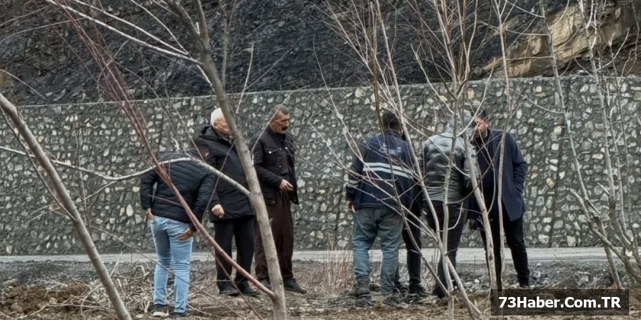 Beytüşşebap Yeşilleniyor