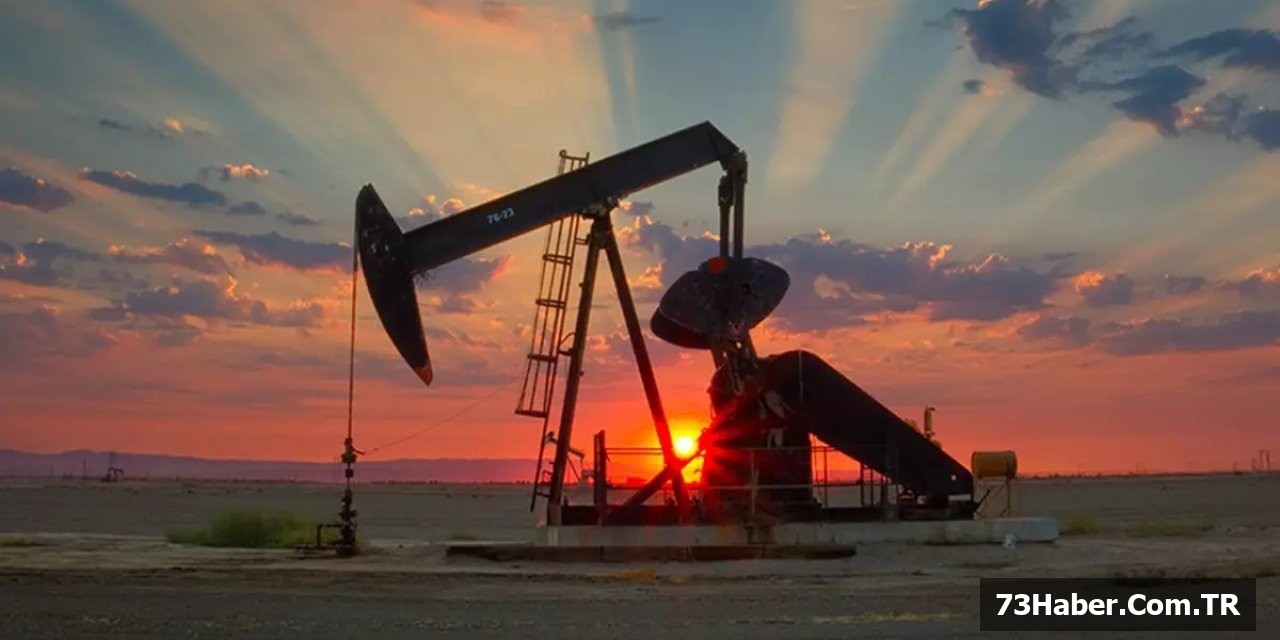 TPAO'dan 3 İle Müjde