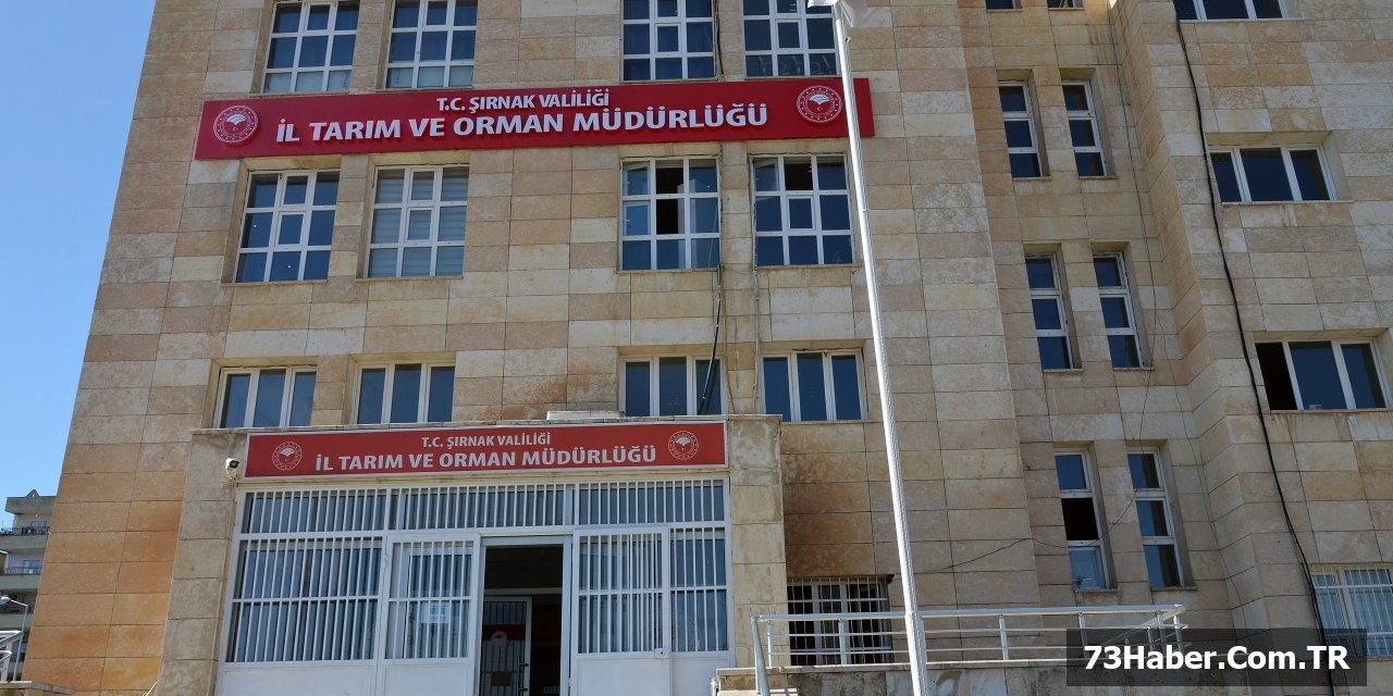 Şırnak'a Büyük İmkan: 100 Hayvan ve 180 Bin TL