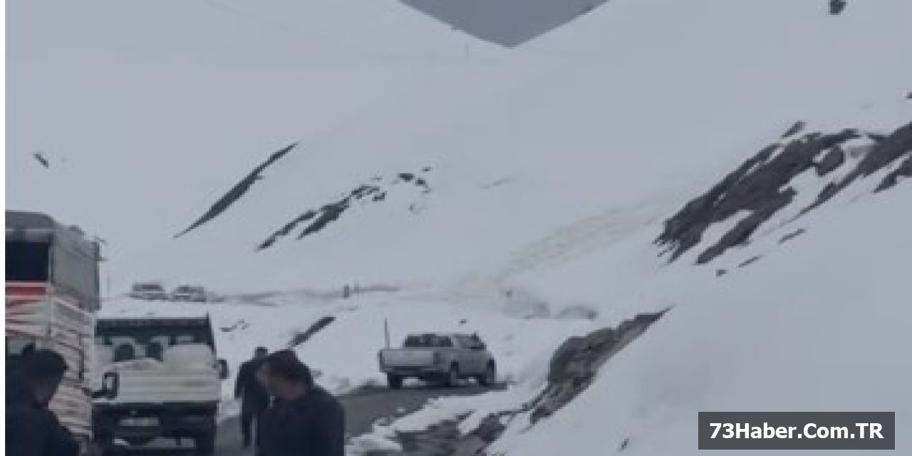 Uludere'de Çığ Felaketi