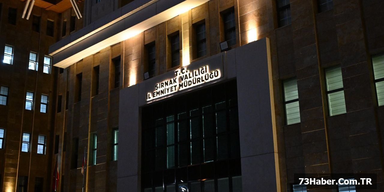 Şırnak'ta 7 uyuşturucu çetesine operasyon