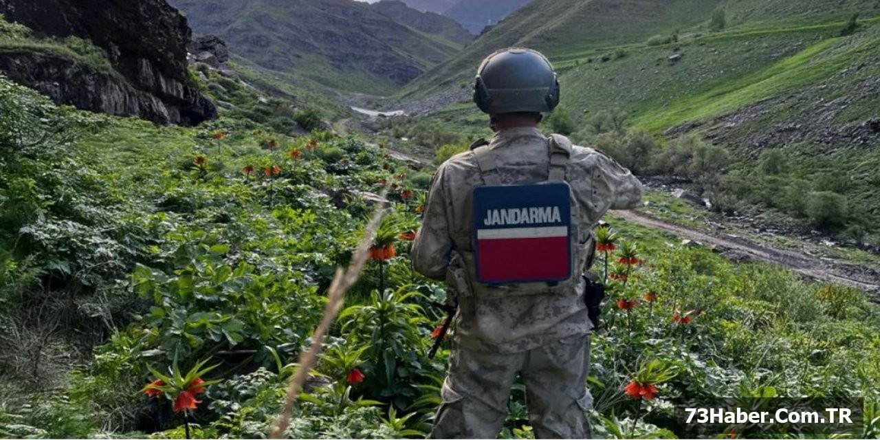 6 İlde 700 Bin Lira Ceza