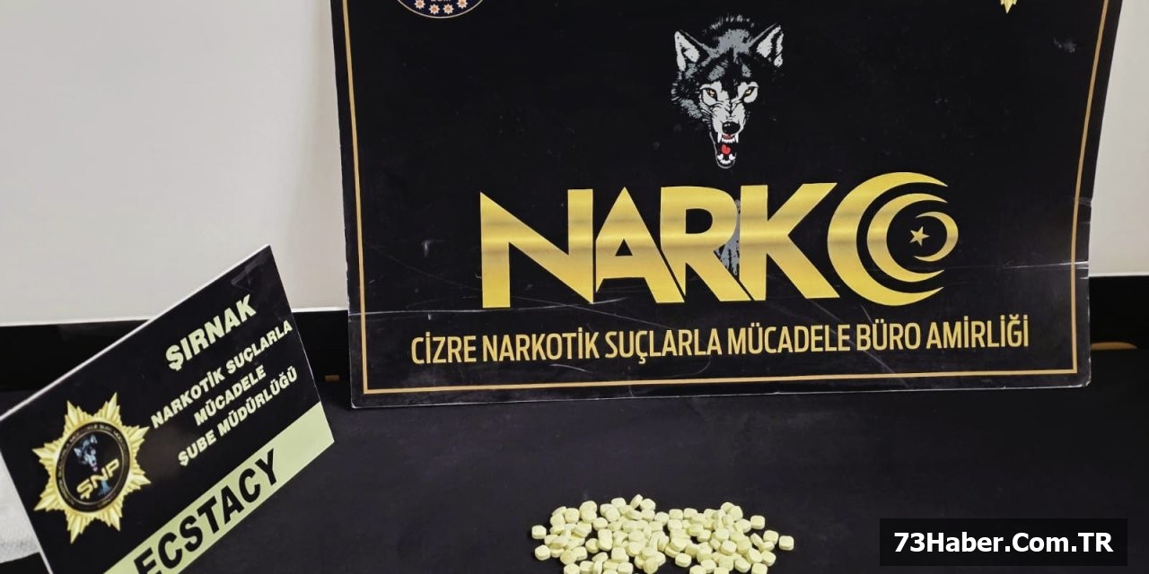 Şırnak'ta Büyük Operasyon: 114 Hap, 2 Gözaltı