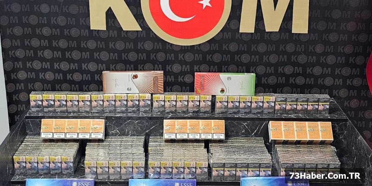 Şırnak'ta Büyük Darbe: 74 Gözaltı