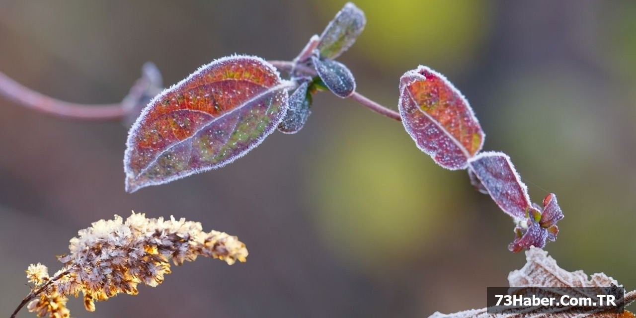 Şırnaklılara Acil Uyarı
