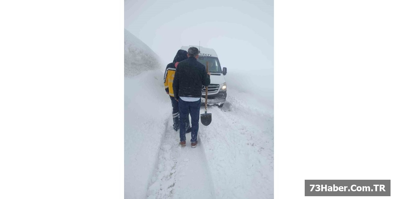 Şırnak'ta İlkbahar Karı Şaşkınlığı