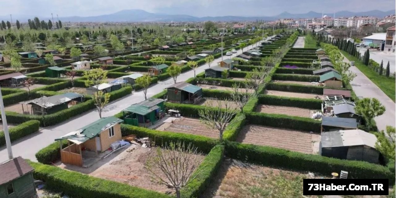 Şırnak'ta Skandal İddia