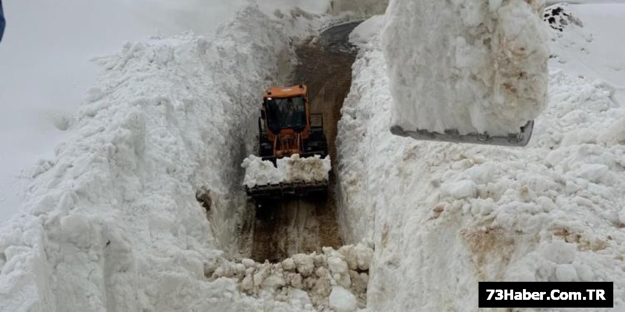 Şırnak'ta Çığ Düşen Yolu Açılıyor