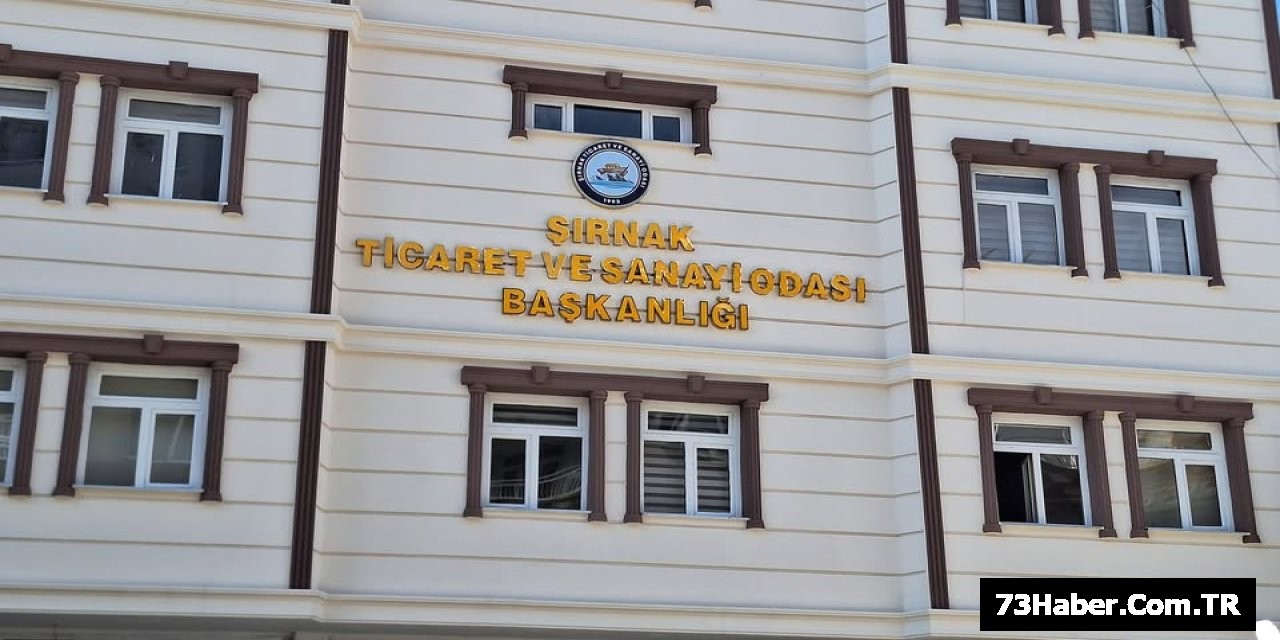 Şırnak-Mersin Sanayi Hattı Devrimi