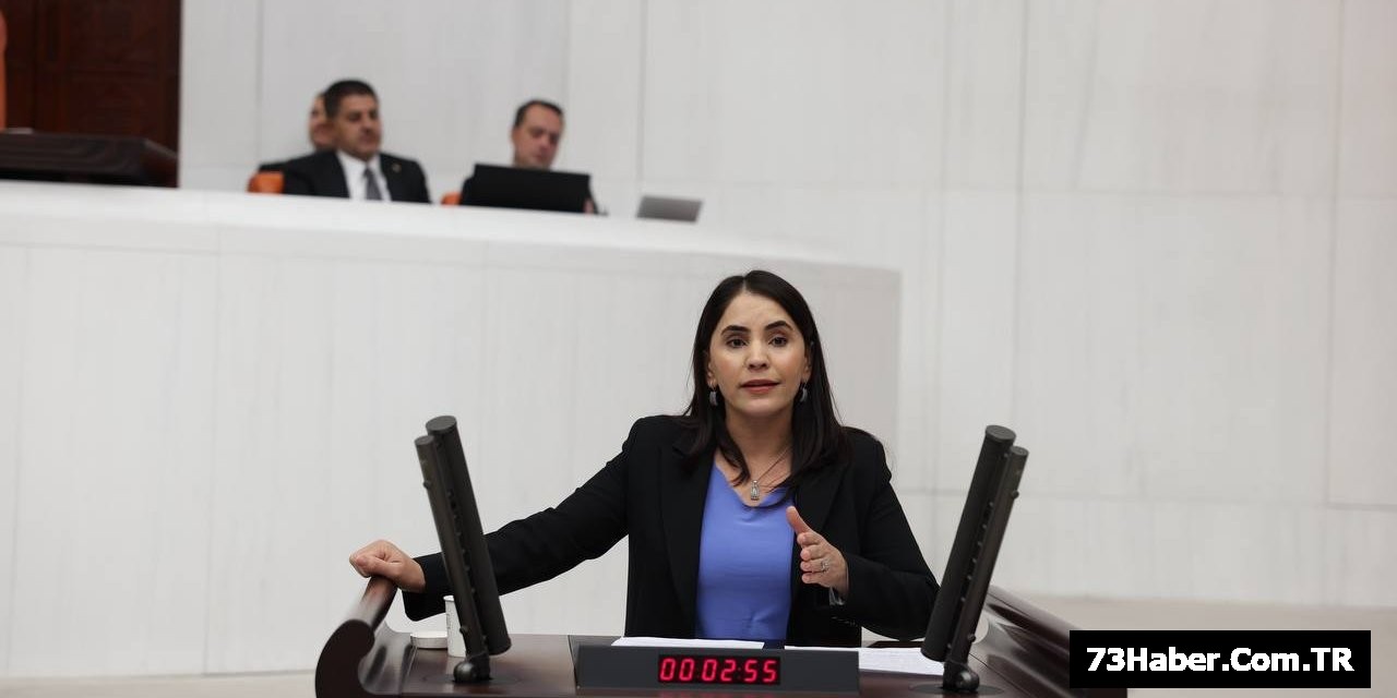 "Uysal'dan Siyahkaya Barajı Çağrısı"