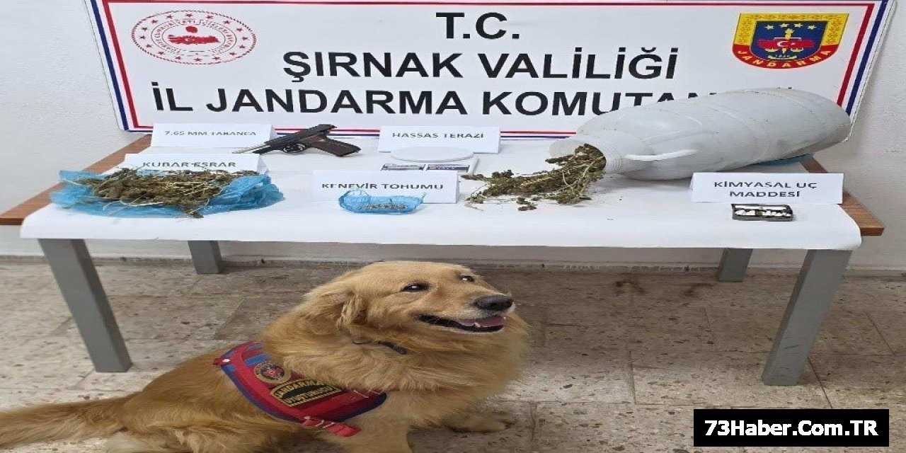 Şırnak'ta 15,6 Milyon TL'lik Kaçak Malzeme Ele Geçirildi