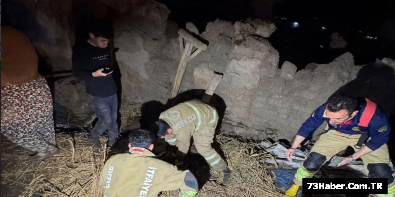 Cizre'de Ahır Çöktü