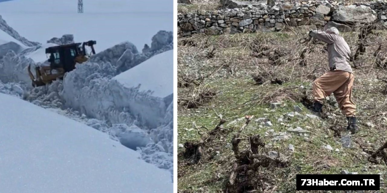 Şırnak'ta Kar ve Dal Budanıyor