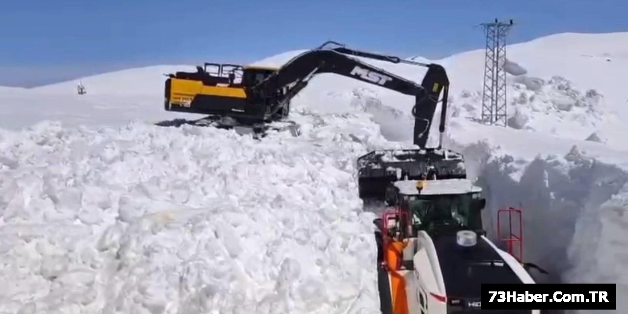 Şırnak Karla Savaşı