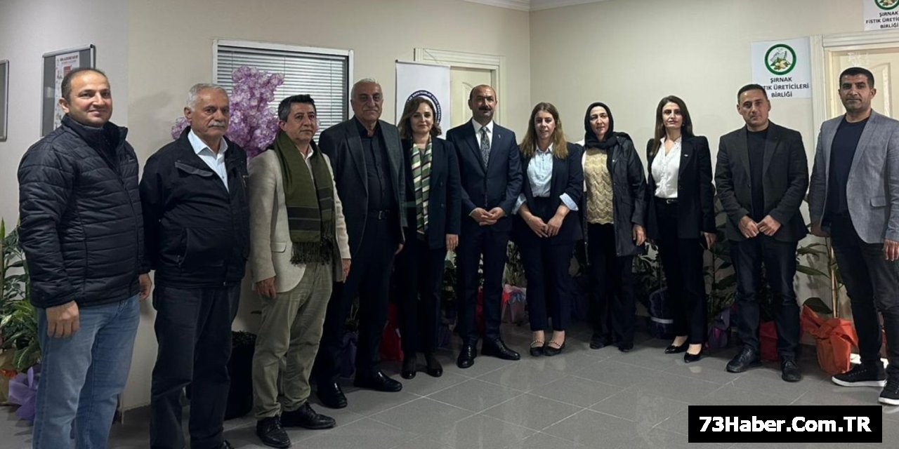 DEM Parti Şırnak'ta Esnafı Ziyaret Etti