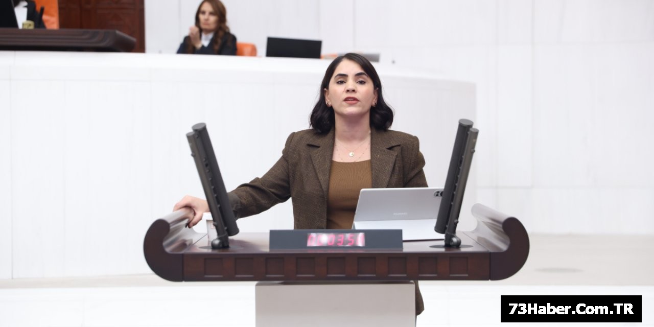 Şırnak Ormanları Nefes Alamıyor