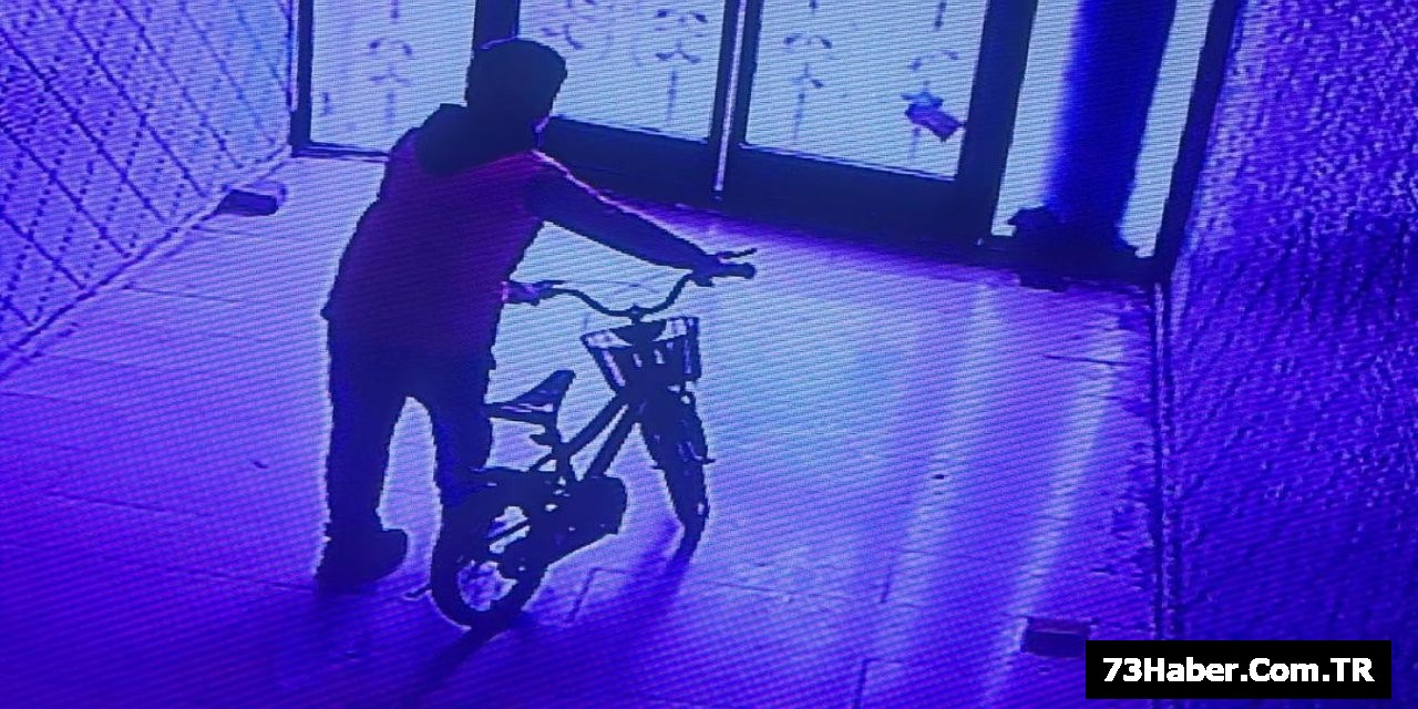 Minik Hırsız: Apartmanda Bisiklet Soygunu
