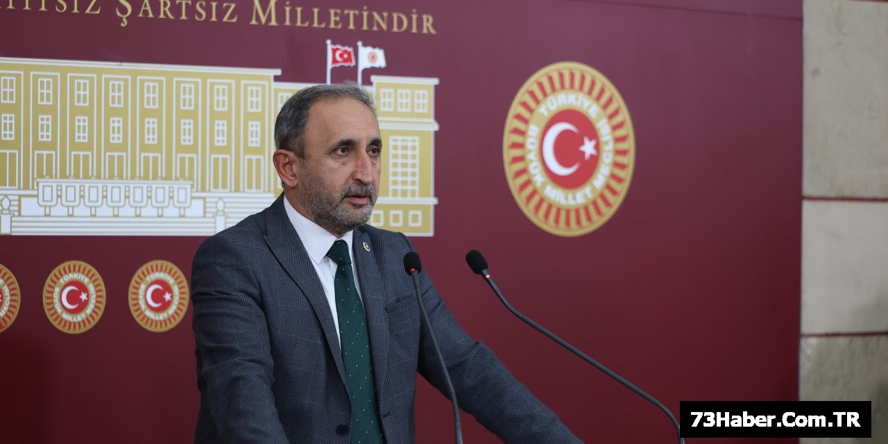 Güneydoğu'da Sorunlar Meclis'te