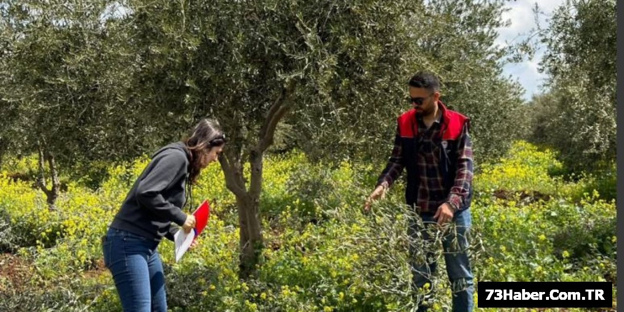 Şırnak'ta Üreticileri Vuracak Hastalık!
