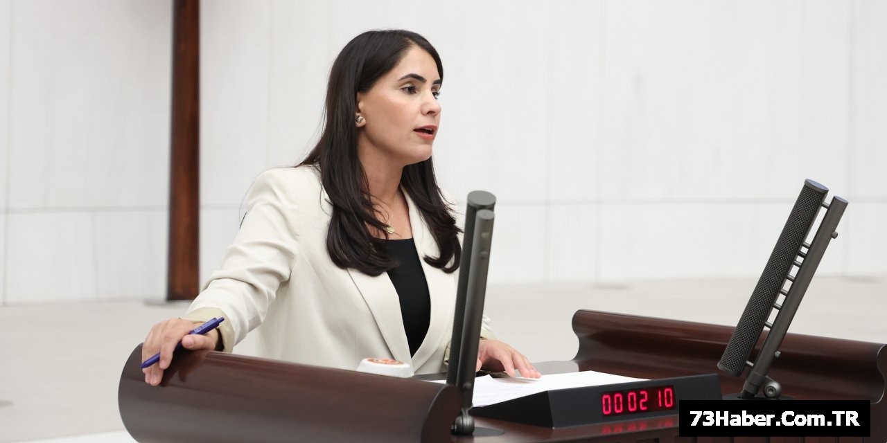 Nevroz Uysal Aslan: "Silopi Termik Santrali Hayır"