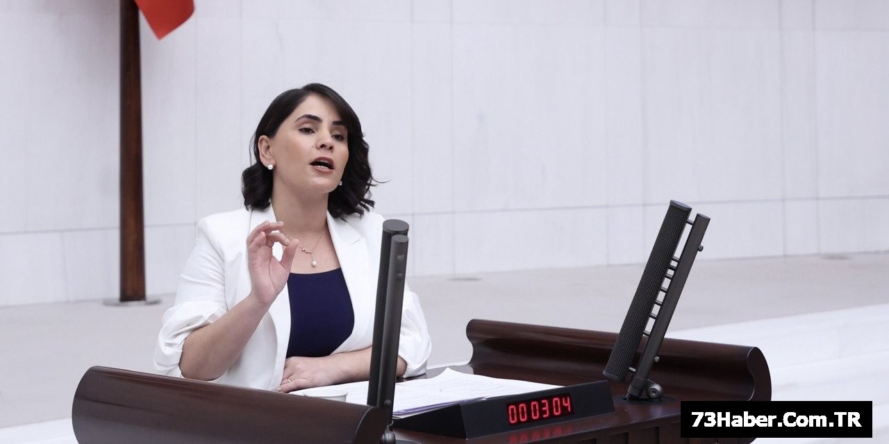 Şırnak Ekolojik Facia