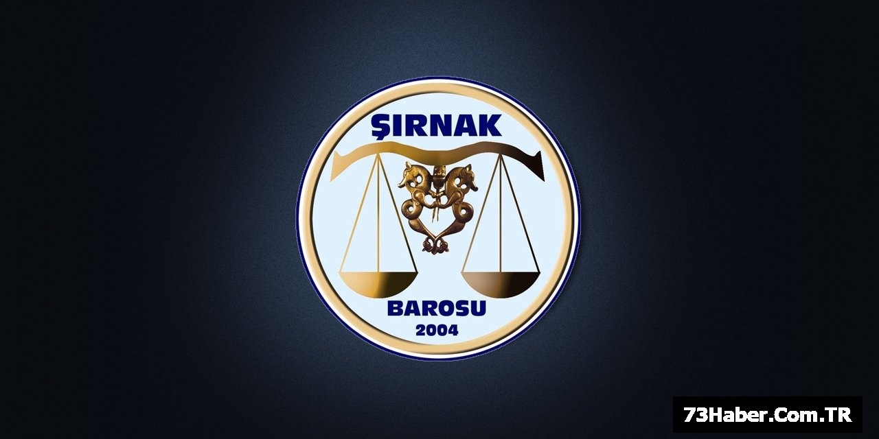 Şırnak'ta Şok Saldırı: 2 Tutuklu