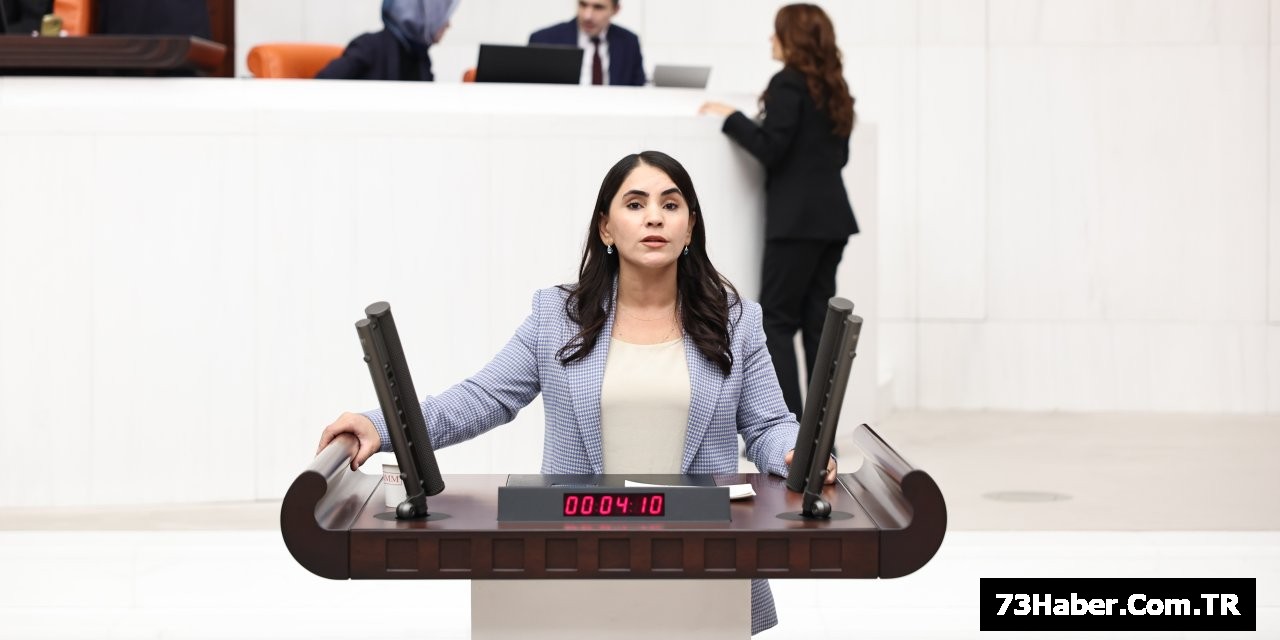 NEVROZ UYSAL ASLAN'DAN BAKANLIKLARA SORU