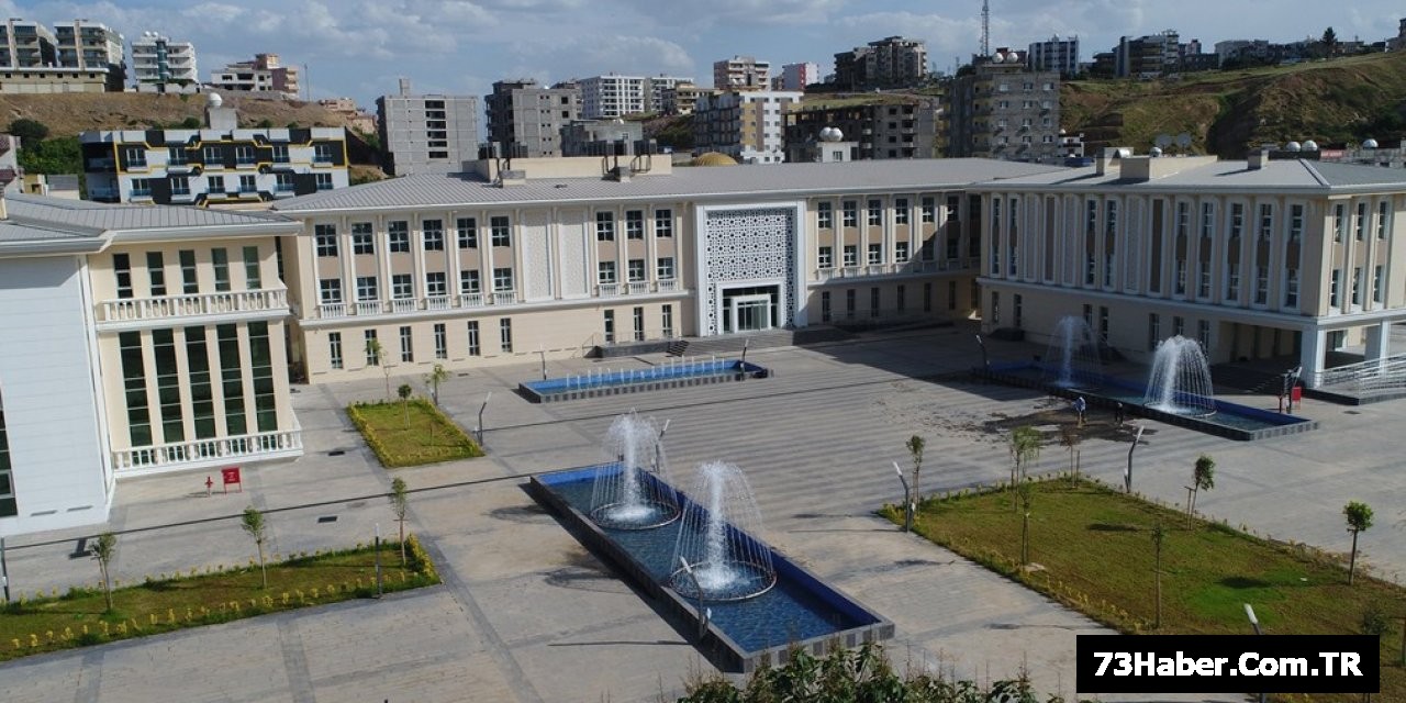 Cizre'de Çevre Tehlikesi