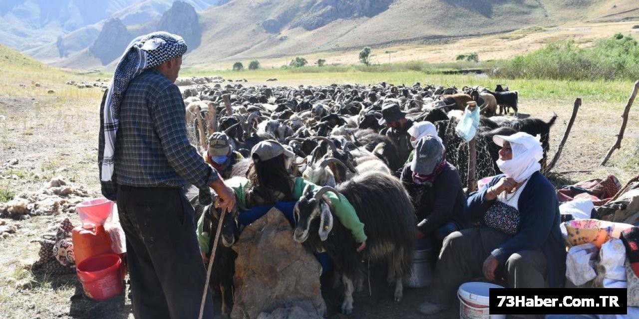 Yaylalara göç başladı
