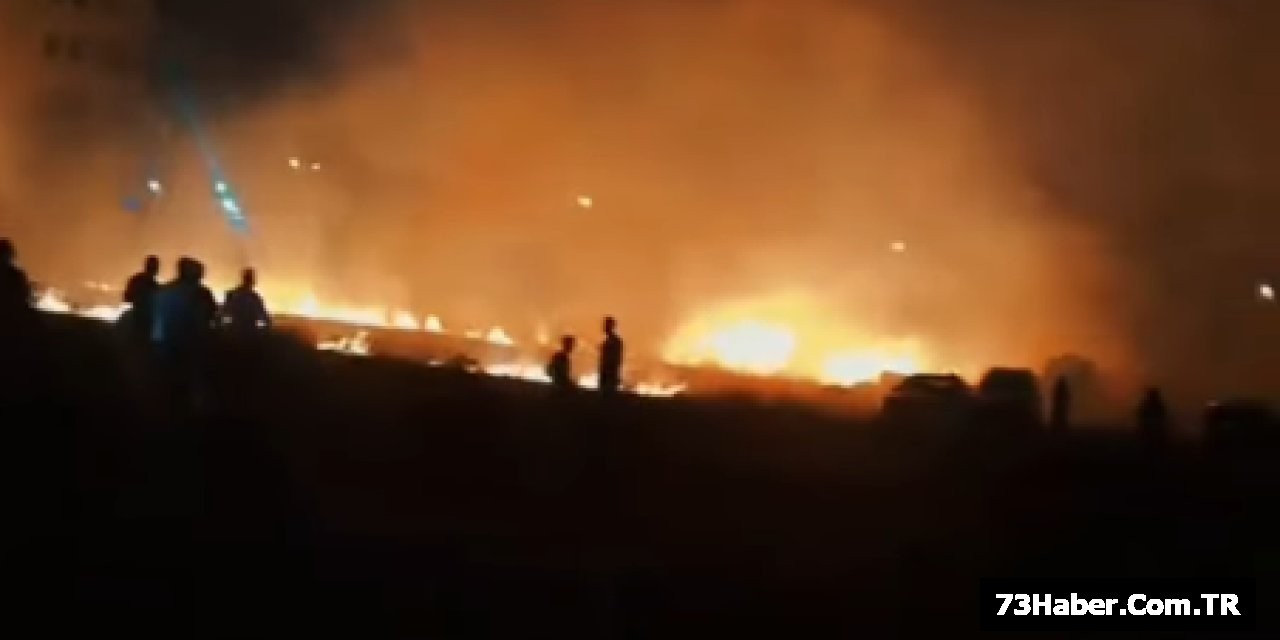 Cizre'de Anız Ateşi!