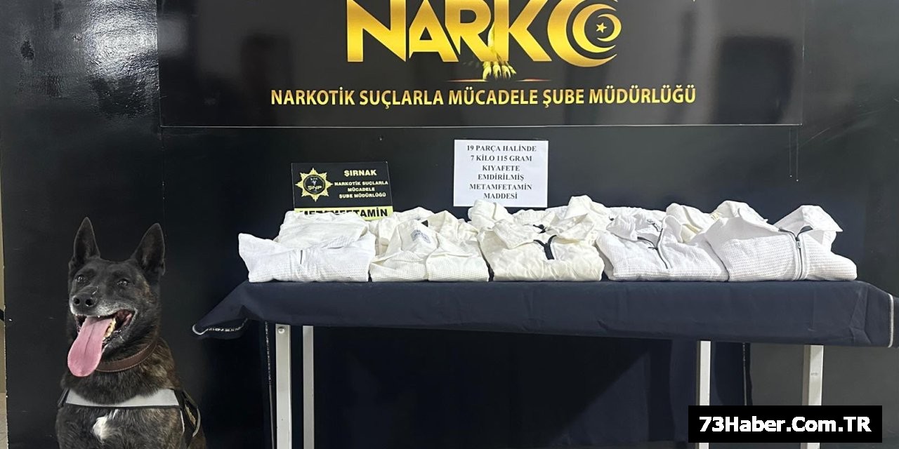 Şırnak'ta Kaçakçılık Operasyonu: 1 Tutuklama