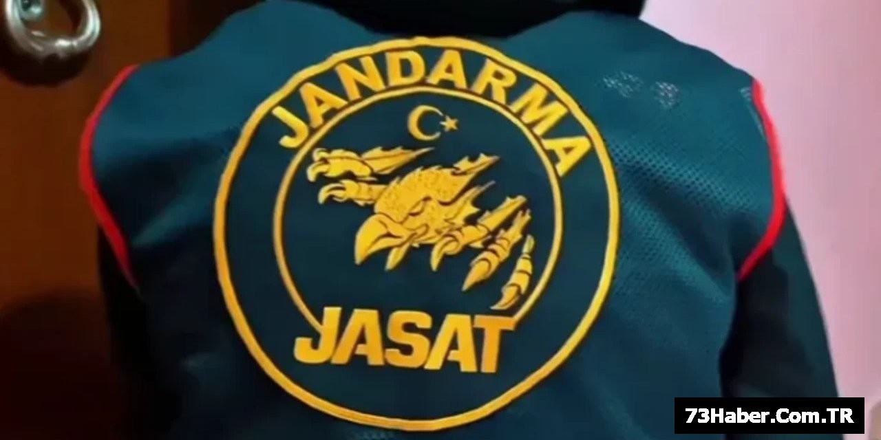 Şırnak'ta JASAT Operasyonu: 25 Tutuklama