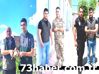 Şırnak'ta Can Dostlara Şefkat Eli: Yaralı Yaban Hayvanları Hayata Tutunuyor