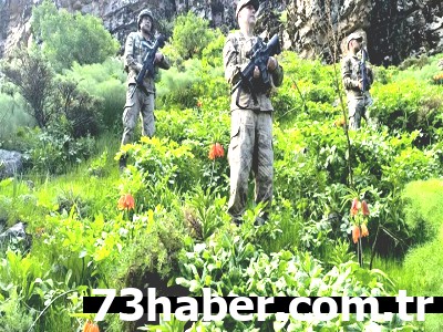 Hakkari'nin Narin Misafirleri: Jandarmanın Koruduğu Çiçeklere Dokunmak Servet Değerinde!
