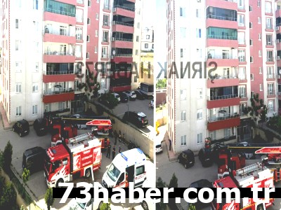 Şırnak'ta Korkutan Yangın! Alevler Yükseldi!